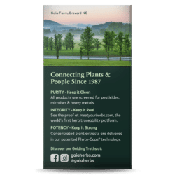 Gaia Herbs - Valerian Root - RealLifeHealing