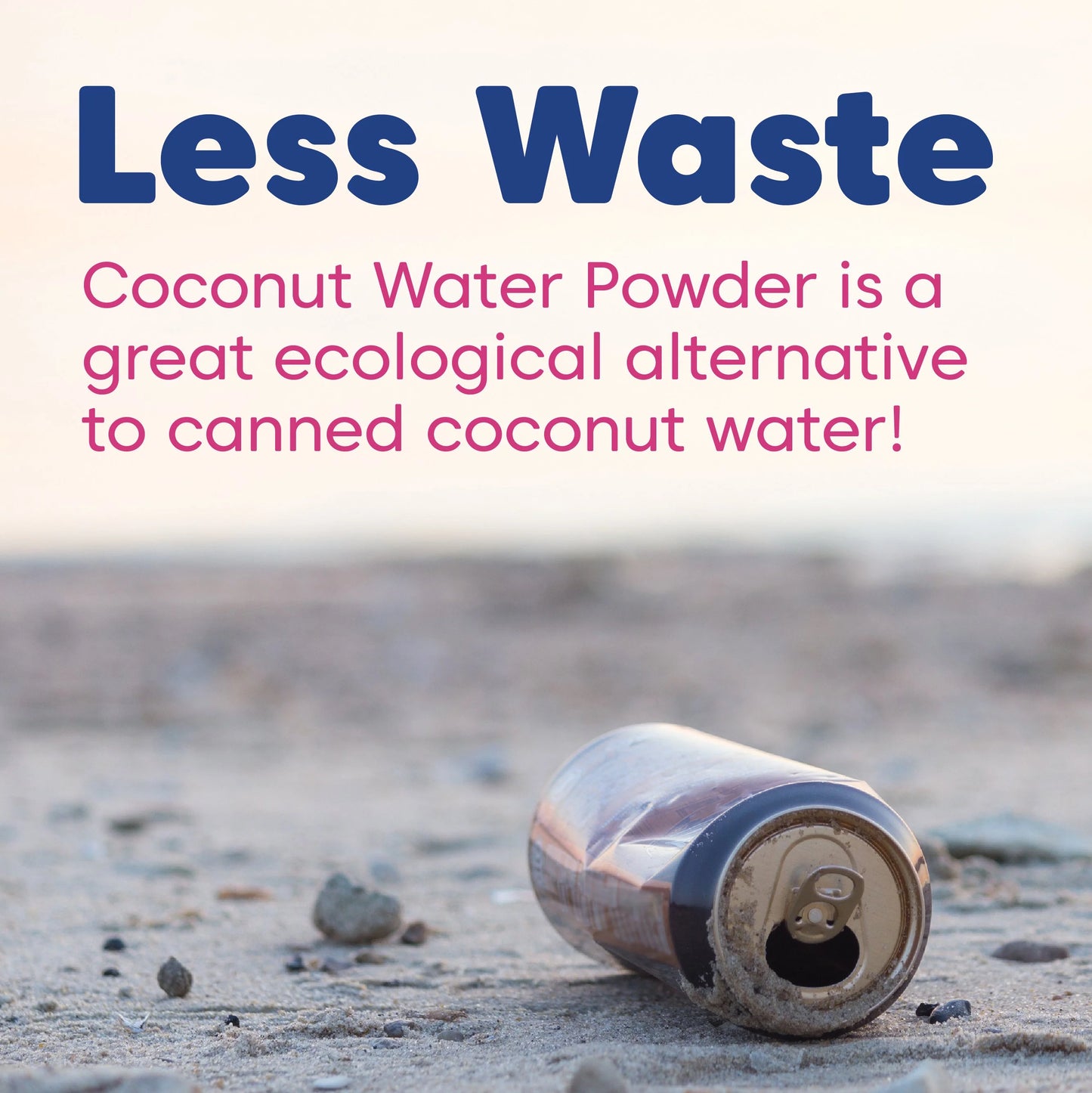 Wilderness Poets - Organic Coconut Water Powder - RealLifeHealing