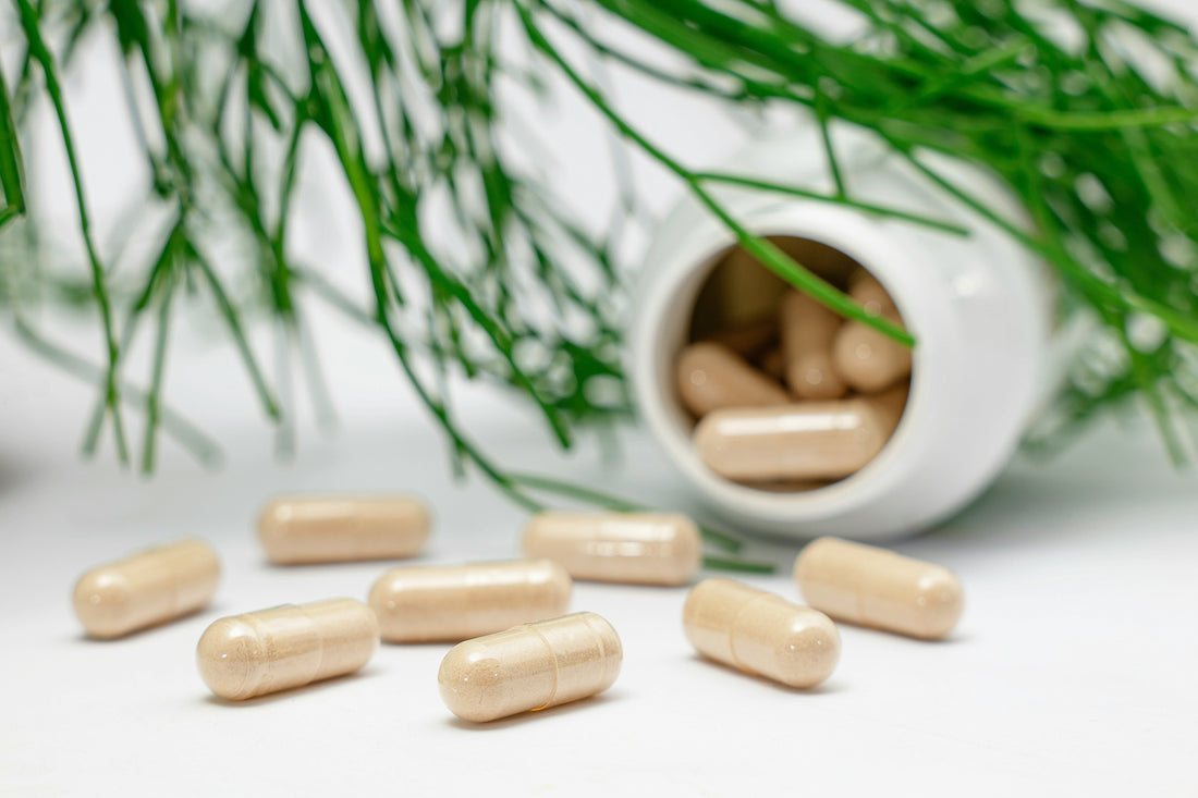 Hidden Ingredients in Supplements: What Manufacturers Don't Want You to Notice