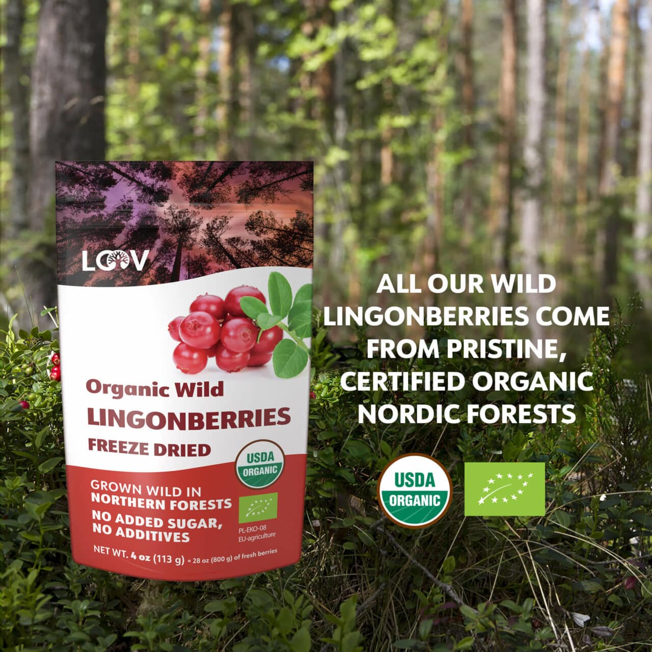 LOOV Wild Lingonberry Freeze Dry - RealLifeHealing