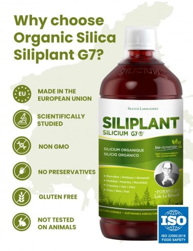 Silicium G7 Silipant