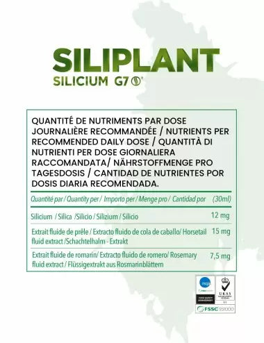 Silicium G7 Silipant