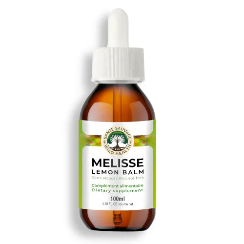 Wild Health - Lemon Balm